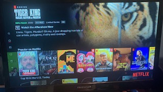 The typical Netflix home screen where all of the possible movies and shows are at a viewer´s disposal. Photo courtesy of Alex Conte.