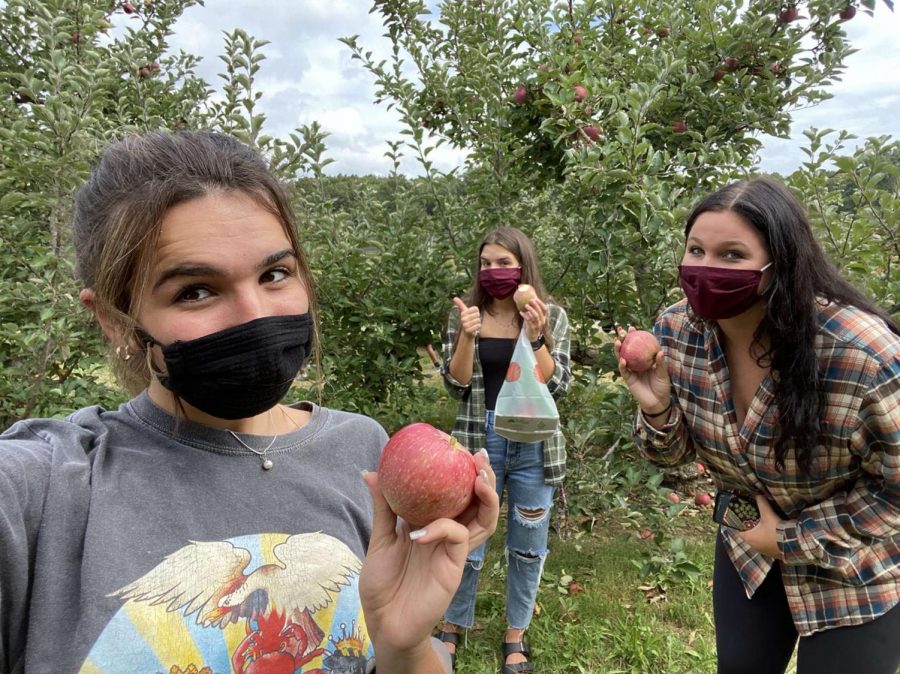 Journalism two students apple picking at Bishop Orchards in Guilford.
Photo Courtesy: Amanda Querioz taken on September 26, 2020
