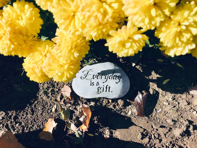 A Time to be Grateful: An inspirational garden stone. Photo courtesy: Steph Galaburri, November 8, 2020.
