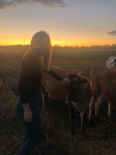 Due to COVID many activities are canceled this semester. This has left them to find things outdoors. For Corina Massey, Horsebarn Hill has been a covid safe place to watch the sunset. Taken November 2020.
Photo Courtesy of Brian Massey.