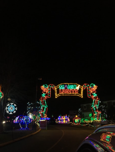 A Magical Holiday Event: The lit up entrance decorated with Christmas lights to guide you into the rest of the light show.  Photo Courtesy: Kaitlyn Dalby, December 8, 2020.