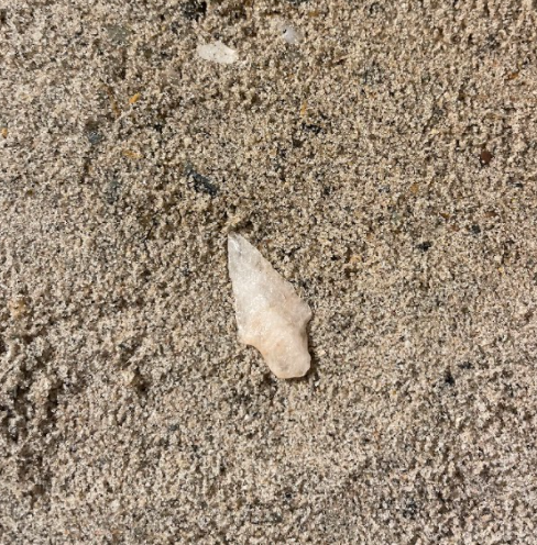 Picture of Quartz Point Found In Connecticut. Taken December 7, 2020. Photo Courtesy of Aidan Glass.