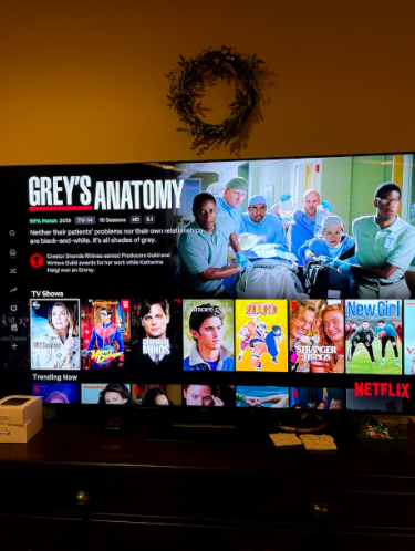 Netflix Home Page: Photo Courtesy: Tori Matula, January 21, 2021