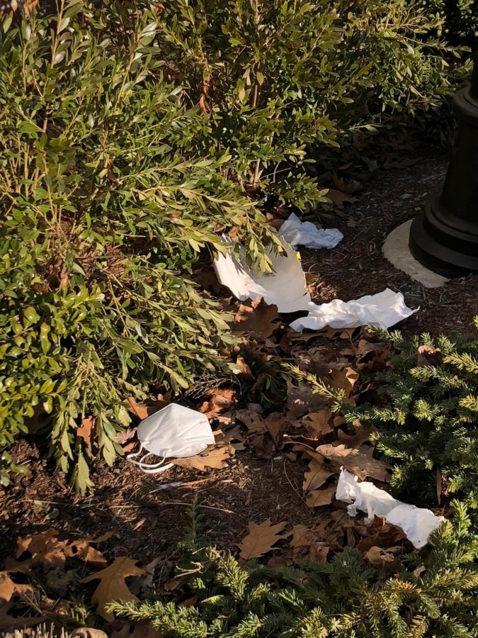 A discarded medical mask among common litter at Pains Road. Photo courtesy: Maria Garbin, Mar. 10