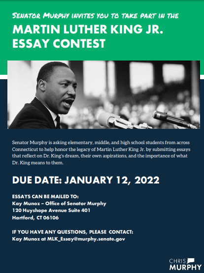 martin luther king essay contest indiana