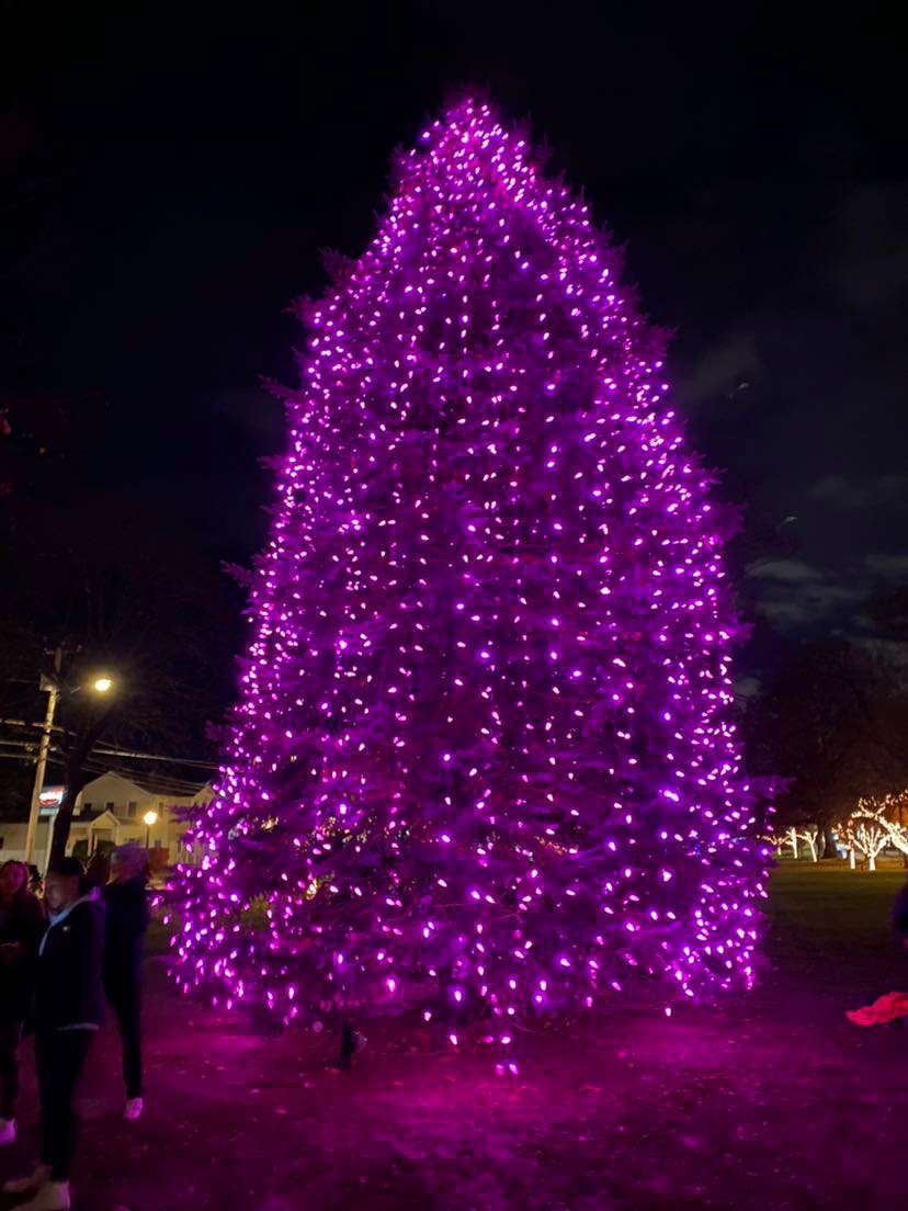 Finally Christmas: Large pink tree in downtown milford fully lit up.