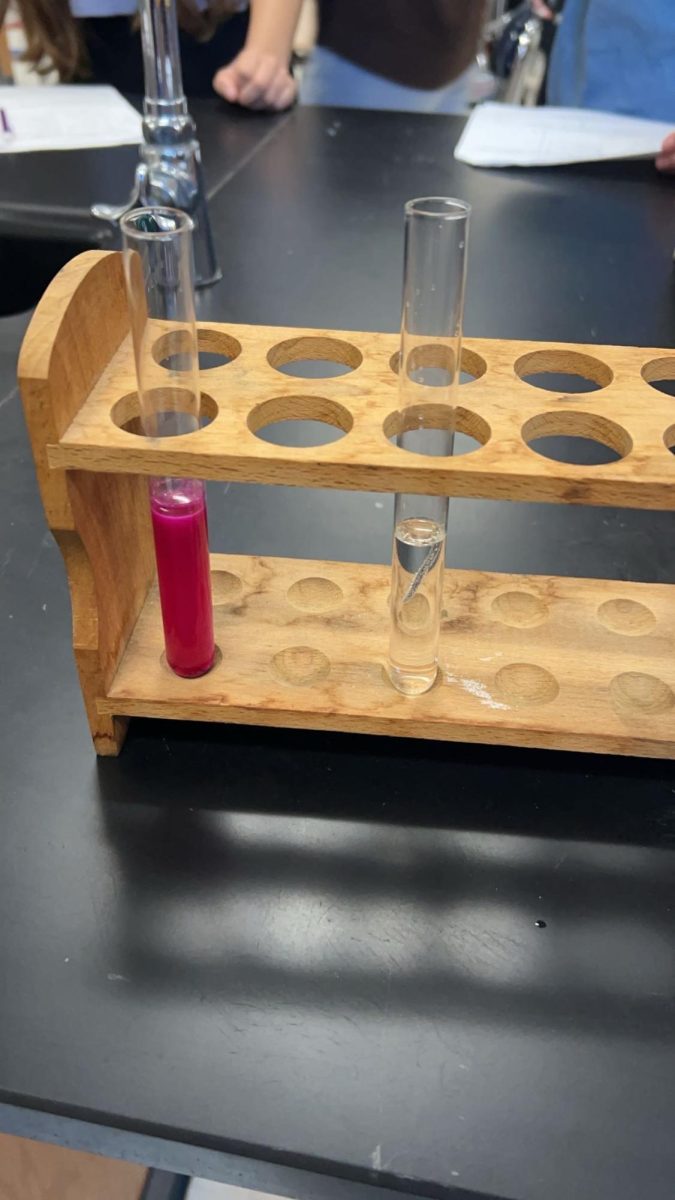 Experiment Fun: Mr Connor’s chemistry class completed an exciting lab experiment. Photo credit: Maddy Brooks