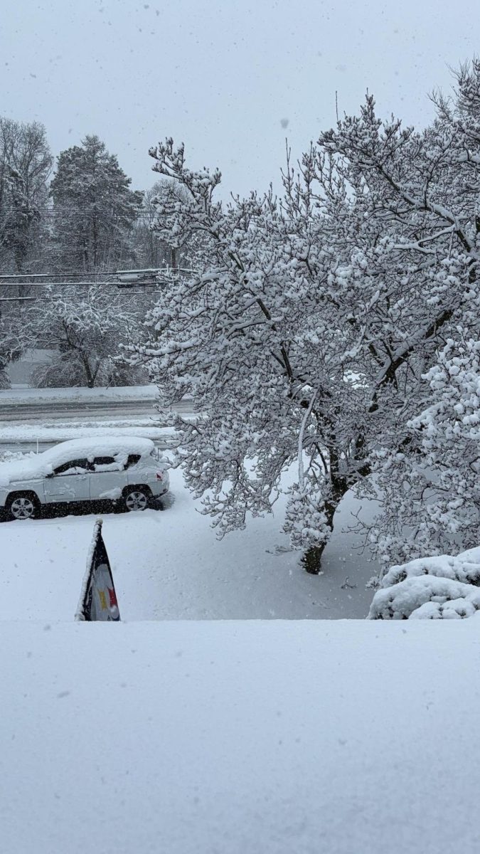 Winter Morning: A picture of snowfall in the morning in Milford, CT. Photo Courtesy: Kylie Posey 