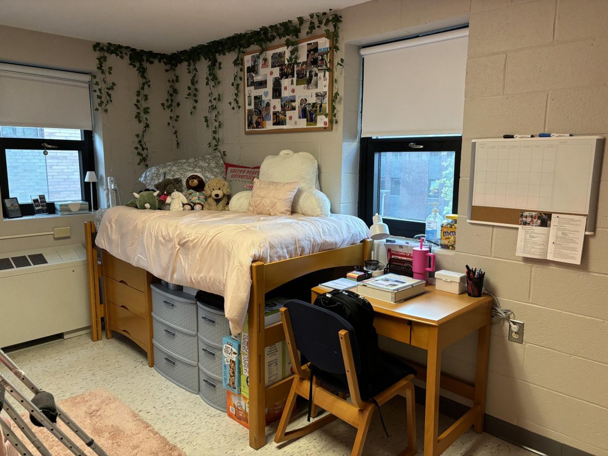 Neat and Tidy: Lindsay Wiederhold’s dorm featuring a whiteboard, photo collage bulletin board, vines, and stuffed animals. Photo courtesy: Lindsay Wiederhold.