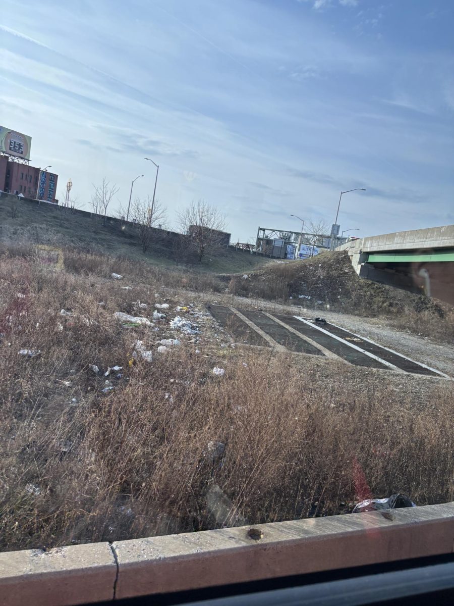 Garbage in NYC: Dirt and trash on the side of the highway in NYC.