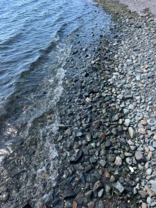 Milford's Beaches, Where Tranquility Meets the Tide