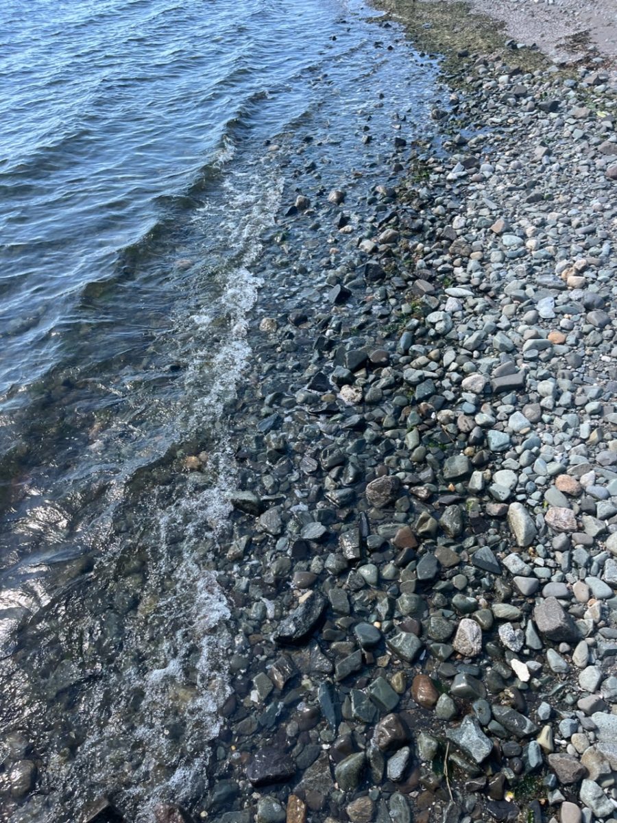 Milford's Beaches, Where Tranquility Meets the Tide