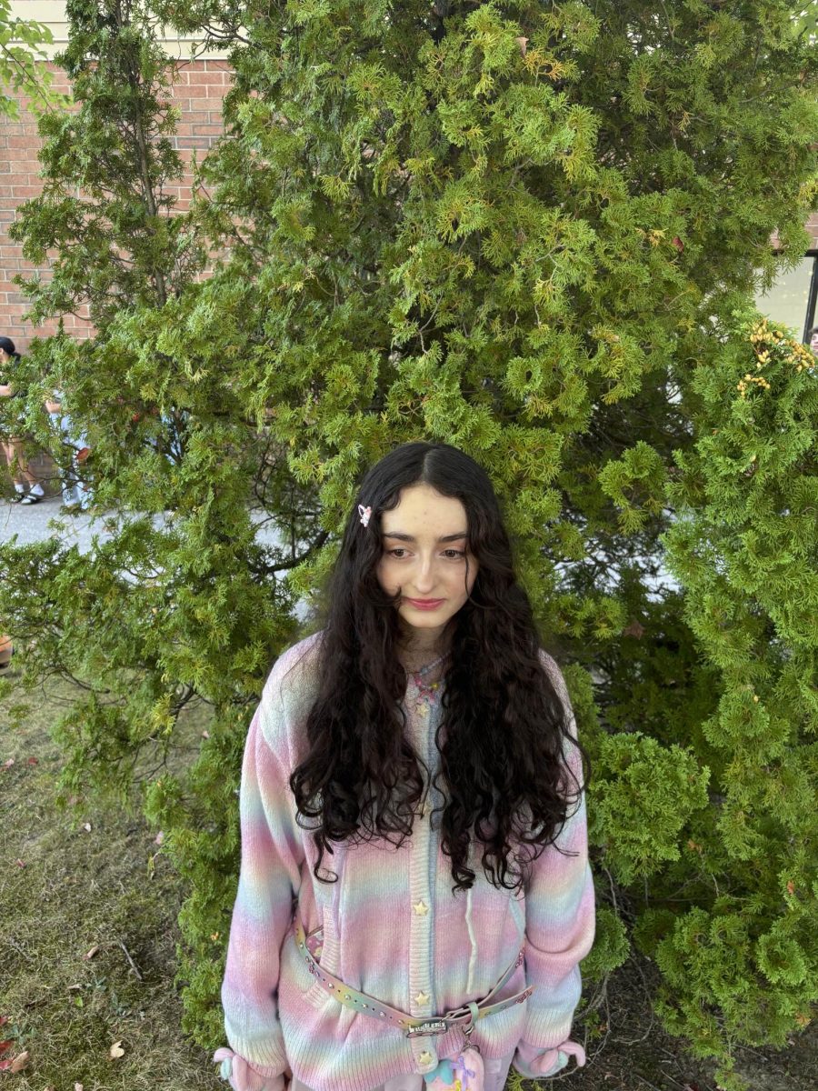 Lisa Mohseni