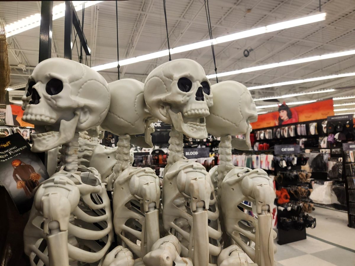 Spooky Skeletons: A group of skeleton props hanging in a Halloween Store. October 7, 2025 Photo Courtesy: Madeline Babcock