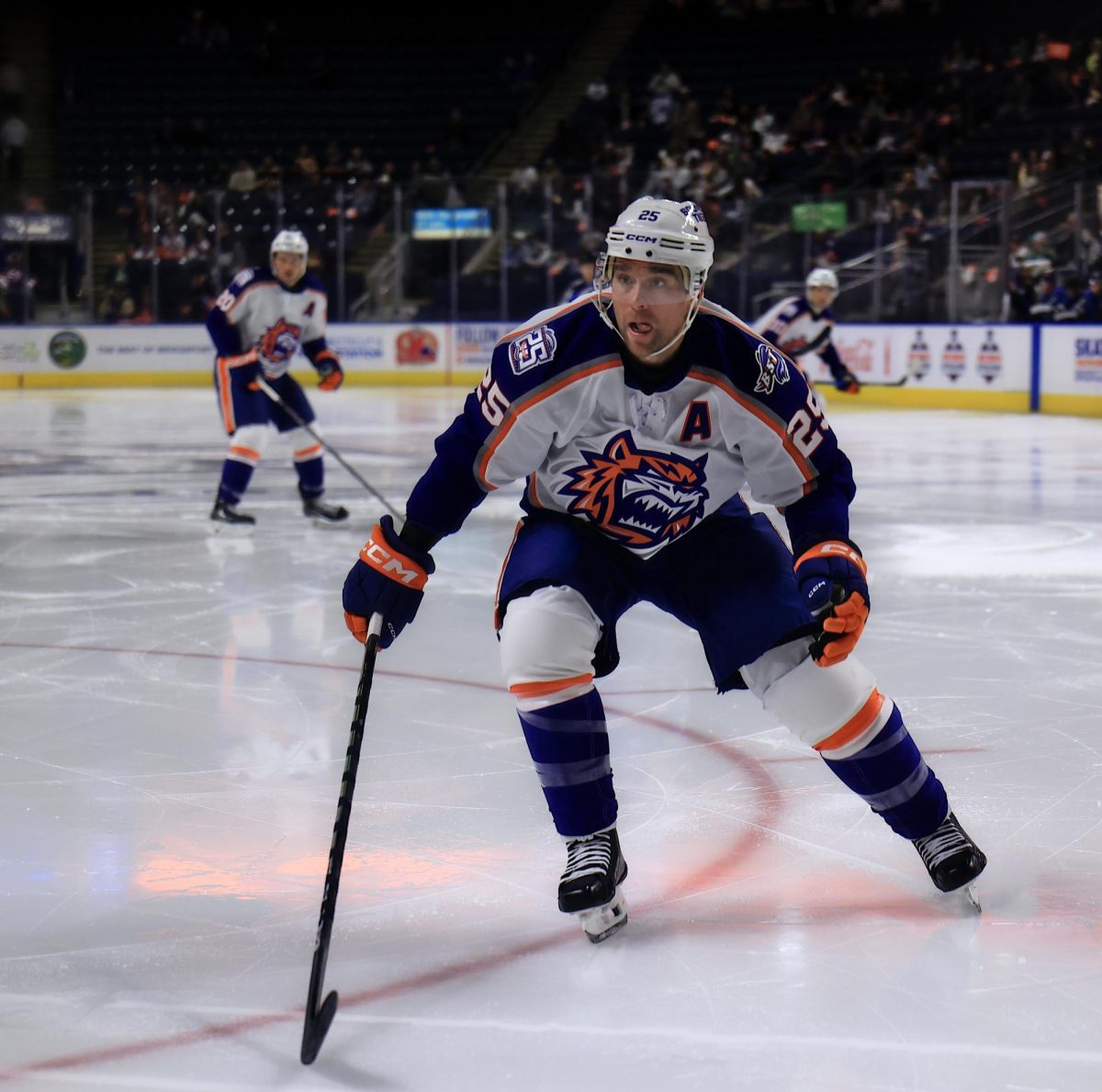 Keeping The Tiger Identity Alive: Assistant captain Chris Terry in action with the 25th anniversary patch on his jersey, November 8, 2025. Photo courtesy: Maria Crocco.