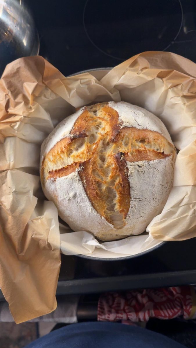 Baked Sourdough: Freshly baked sourdough, December 12, 2025. Photo courtesy: Eloise Mackwell.